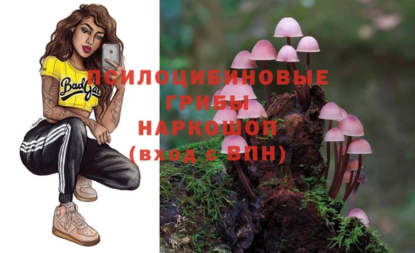 mix Краснослободск