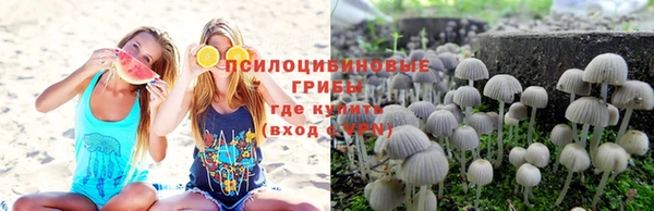прущие крисы Красноперекопск