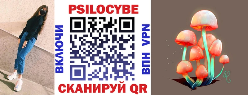 Псилоцибиновые грибы Psilocybe  Купить закладки  Грайворон 