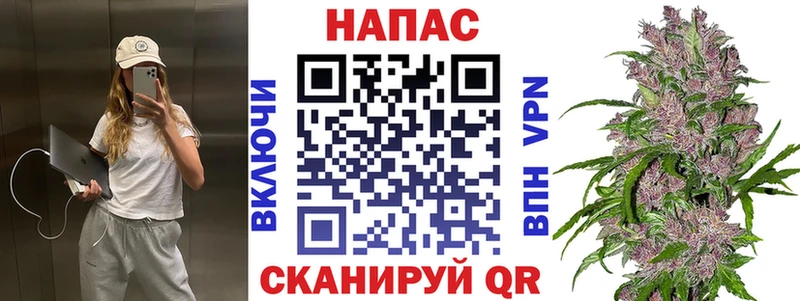 Бошки марихуана Amnesia  Купить  Грайворон 